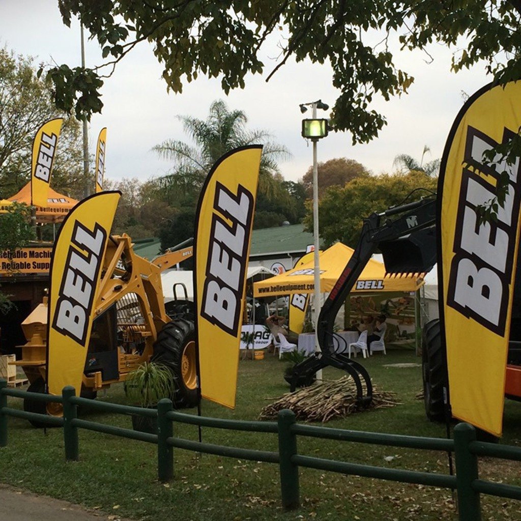 A row of printed flags along an event route